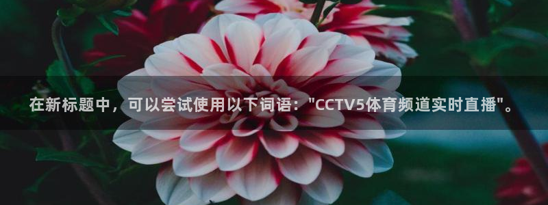 在新标题中，可以尝试使用以下词语：\