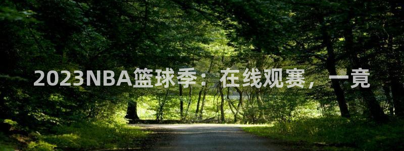 2023NBA篮球季：在线观赛，一竟