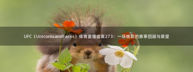 UFC（UnicornsandFaces）体育直播盛宴273：一场精彩的赛事回顾与展望