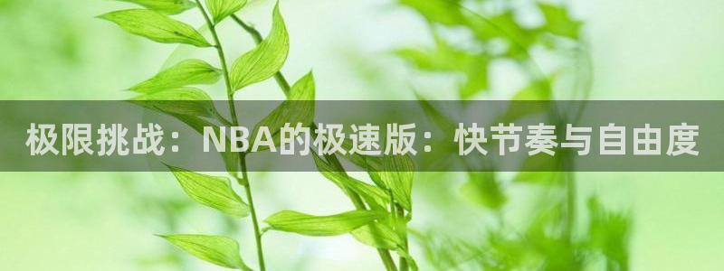 极限挑战：NBA的极速版：快节奏与自由度
