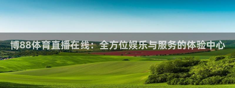 博88体育直播在线：全方位娱乐与服务的体验中心